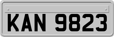 KAN9823