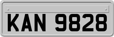 KAN9828
