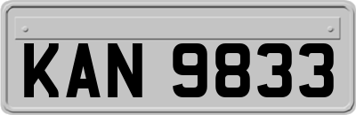 KAN9833
