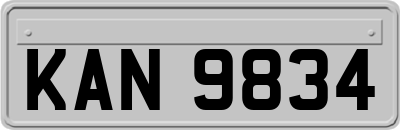 KAN9834