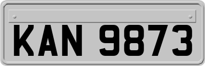 KAN9873