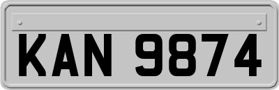 KAN9874