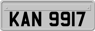 KAN9917
