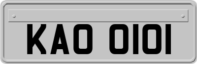KAO0101