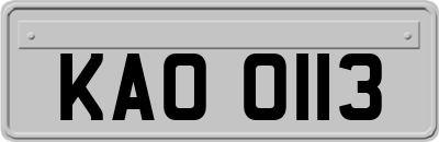 KAO0113