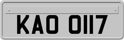 KAO0117