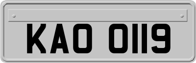 KAO0119