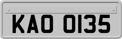 KAO0135