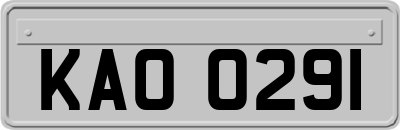 KAO0291