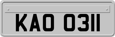 KAO0311