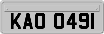 KAO0491