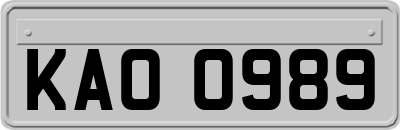 KAO0989