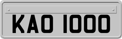 KAO1000
