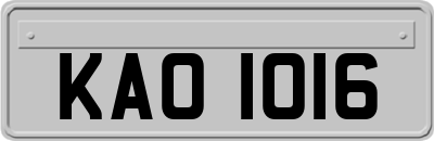 KAO1016