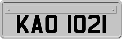 KAO1021