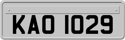 KAO1029