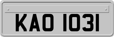 KAO1031