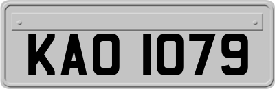 KAO1079