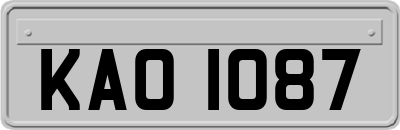 KAO1087