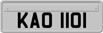 KAO1101