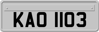 KAO1103