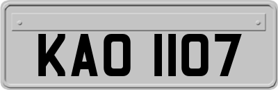 KAO1107