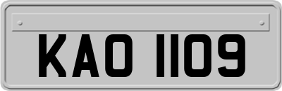 KAO1109