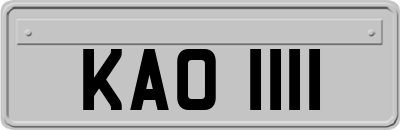 KAO1111