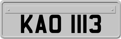 KAO1113