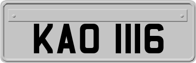 KAO1116