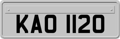 KAO1120