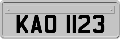 KAO1123