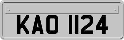 KAO1124