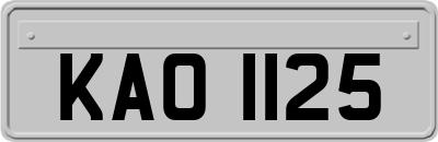 KAO1125