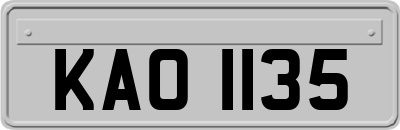 KAO1135