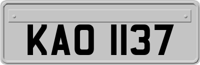 KAO1137