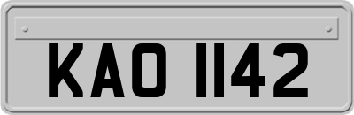 KAO1142