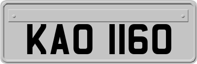 KAO1160