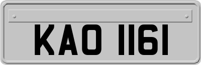 KAO1161
