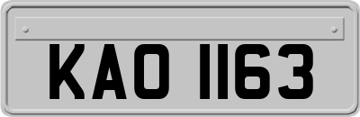 KAO1163