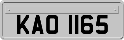 KAO1165