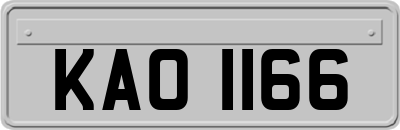 KAO1166