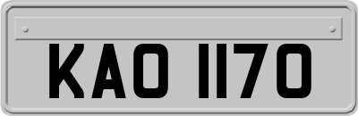 KAO1170