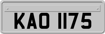 KAO1175