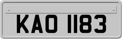 KAO1183