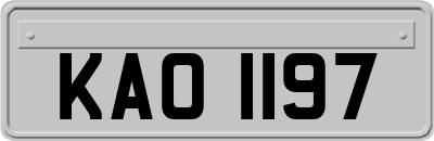 KAO1197