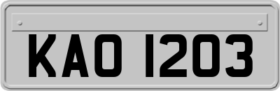 KAO1203