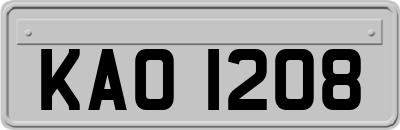 KAO1208