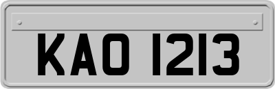 KAO1213