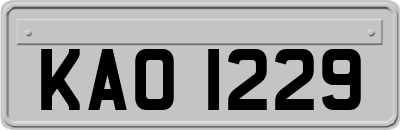KAO1229